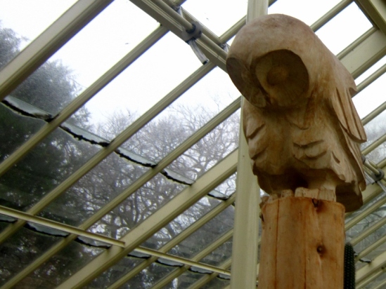 Wooden Owl at Botanic Gardens, Dublin