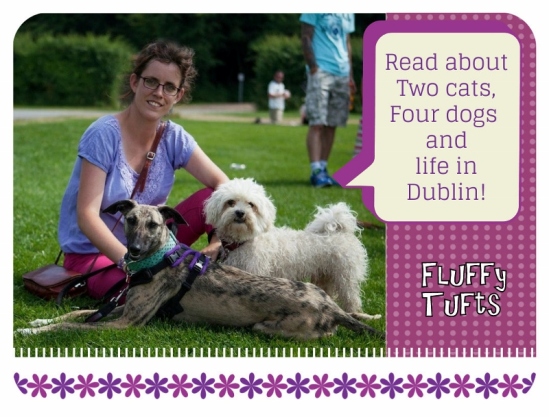 Fluffy Tufts blog is now on Pinterest